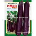 Super High Yield Hybrid Purple Long Eggplant Seeds For Sale-General888